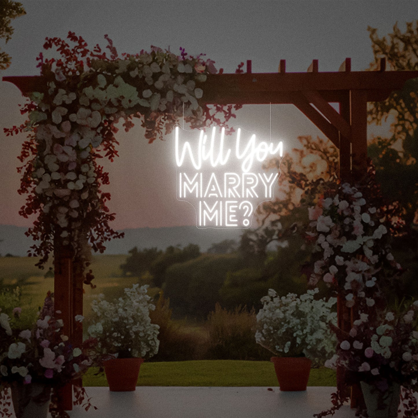 Will You Marry Me Neon Sign